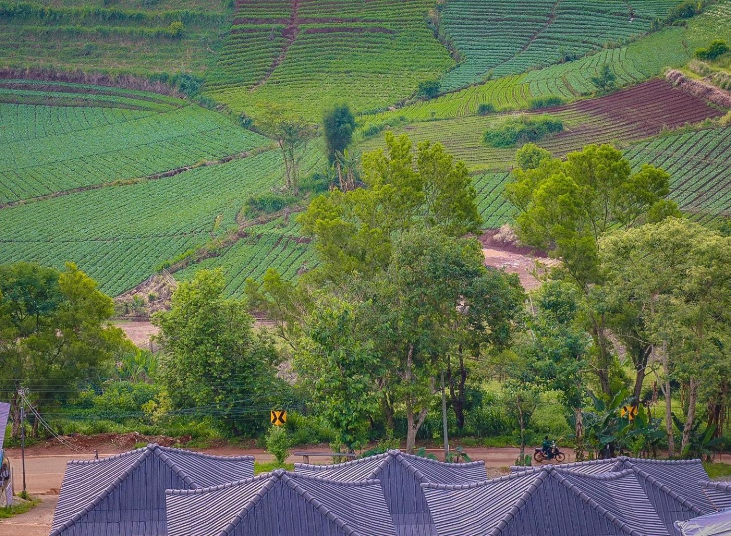 ม่อน P บ้านพักตากอากาศ Mon Jam Exteriér fotografie